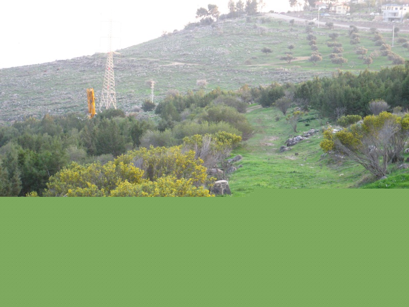 20140211-163752-Alumot-C0391.jpg