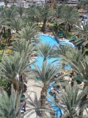 20060612-eilat-8678.jpg
