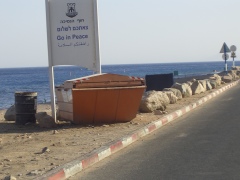 20060612-eilat-8694.jpg