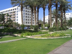 20060613-eilat-8716.jpg