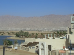 20060613-eilat-8727.jpg