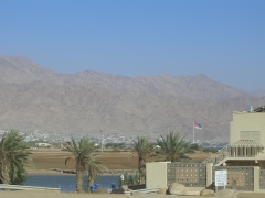 20060613-eilat-8733.jpg