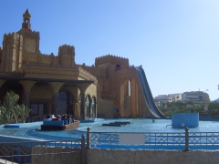 20060613-eilat-8734.jpg