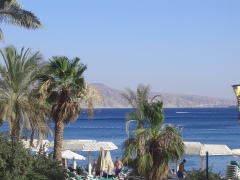 20060613-eilat-8740.jpg