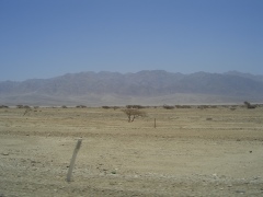 20060614-eilat-8749.jpg