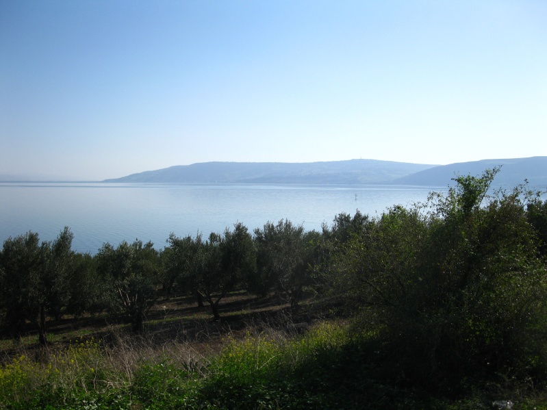 20140212-145040-kfar-nahum-C0518.jpg
