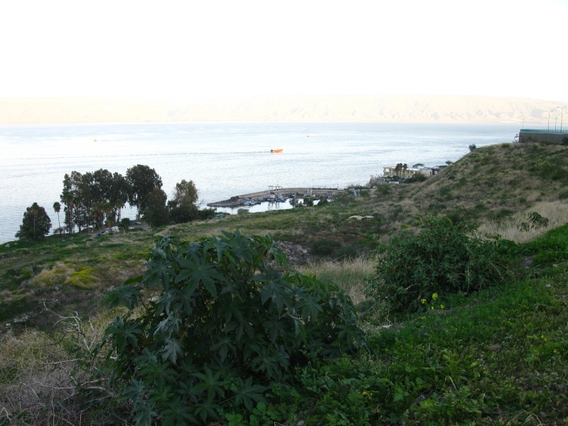 20140212-163524-Tiberia-C0552.jpg