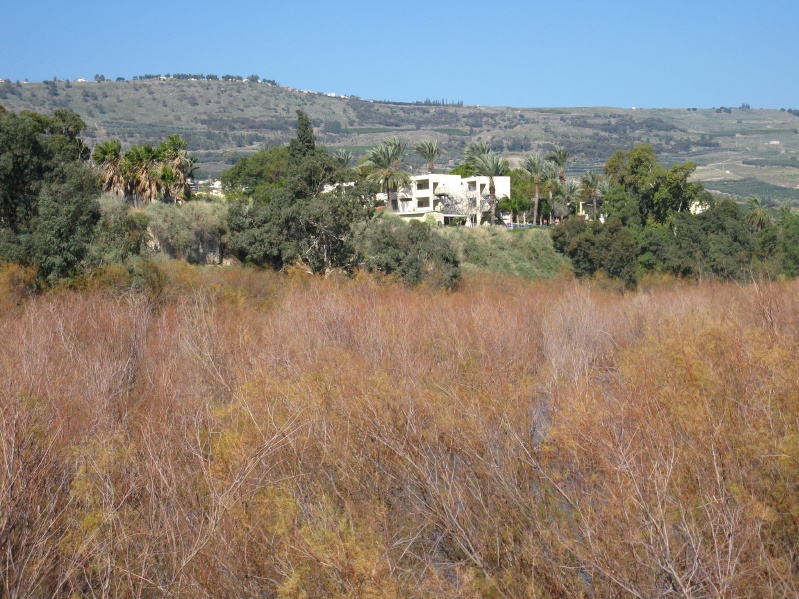 20140212-093246-Zemach-Kineret-C0430.jpg