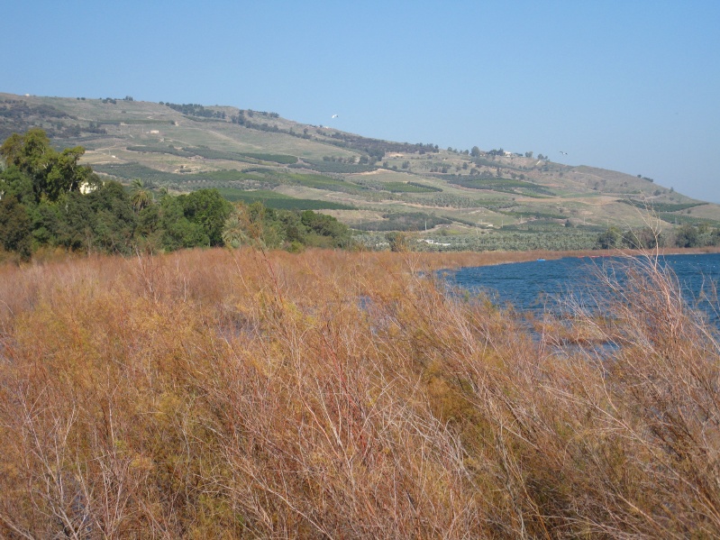 20140212-093252-Zemach-Kineret-C0431.jpg