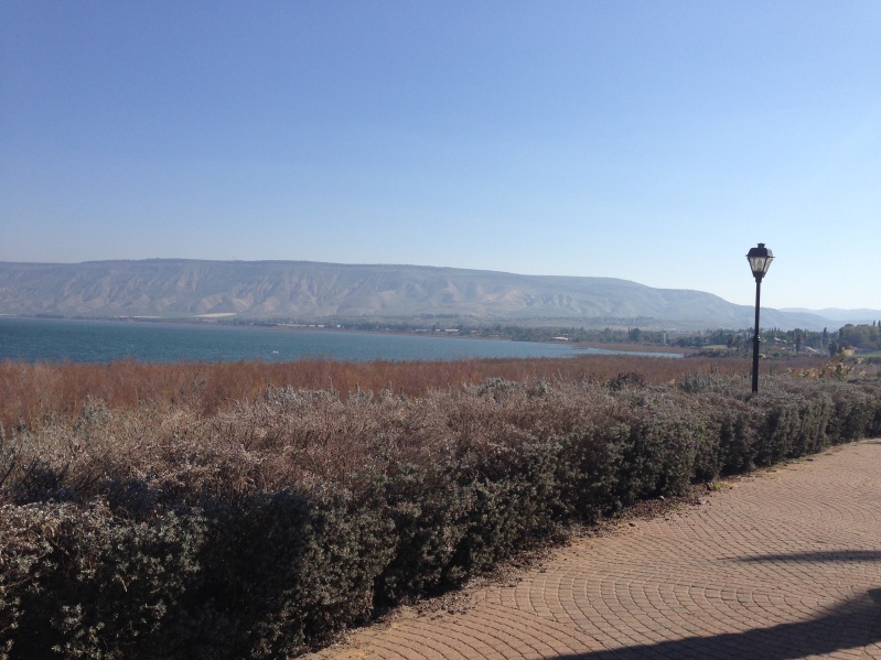 20140212-100710-Zemach-Kineret-11280.jpg