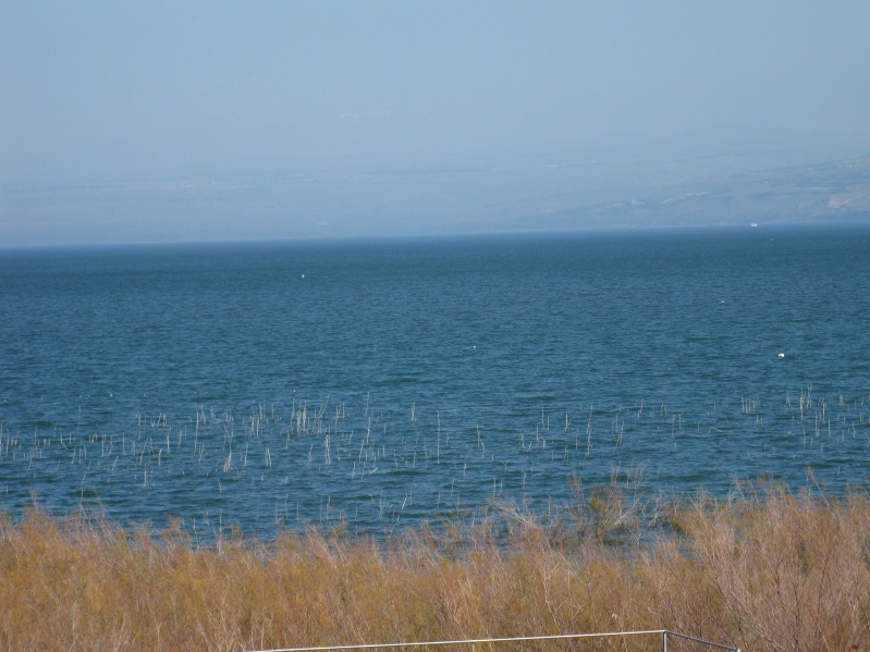 20140212-103936-Zemach-Kineret-C0476.jpg