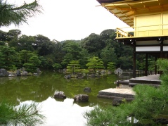 Kyoto - Rokuon-Ji Temple - The Golden Pavilion 
