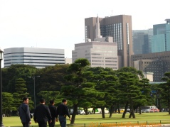 Marunouchi view from Tokyo Chiyoda-ku Imperial Palace and Park	20071020-135618-3620.jpg