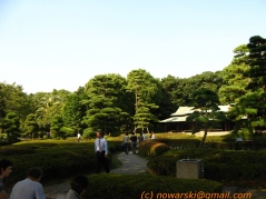 Tokyo Chiyoda-ku Marunouchi Imperial Park.jpg