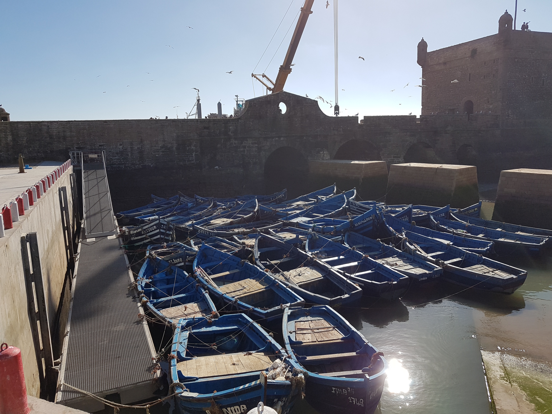 20180313-161549-Essaouira_Citadel-SJ.jpg