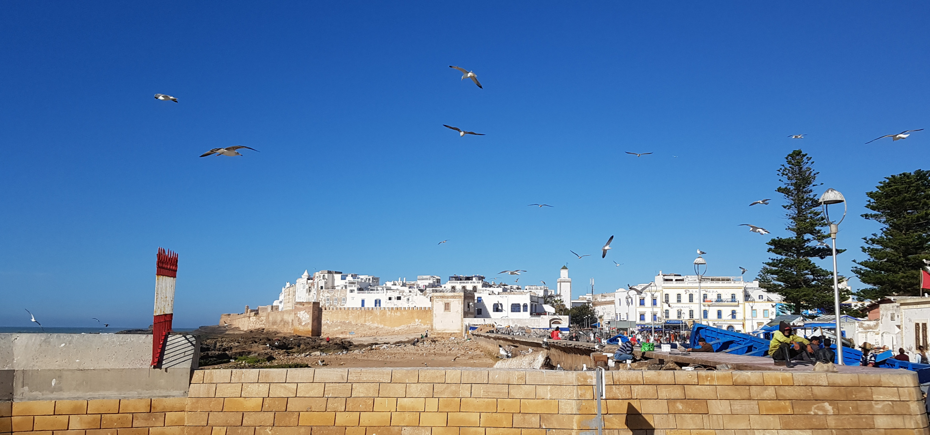 20180313-161826-Essaouira_Citadel-SR-2.jpg