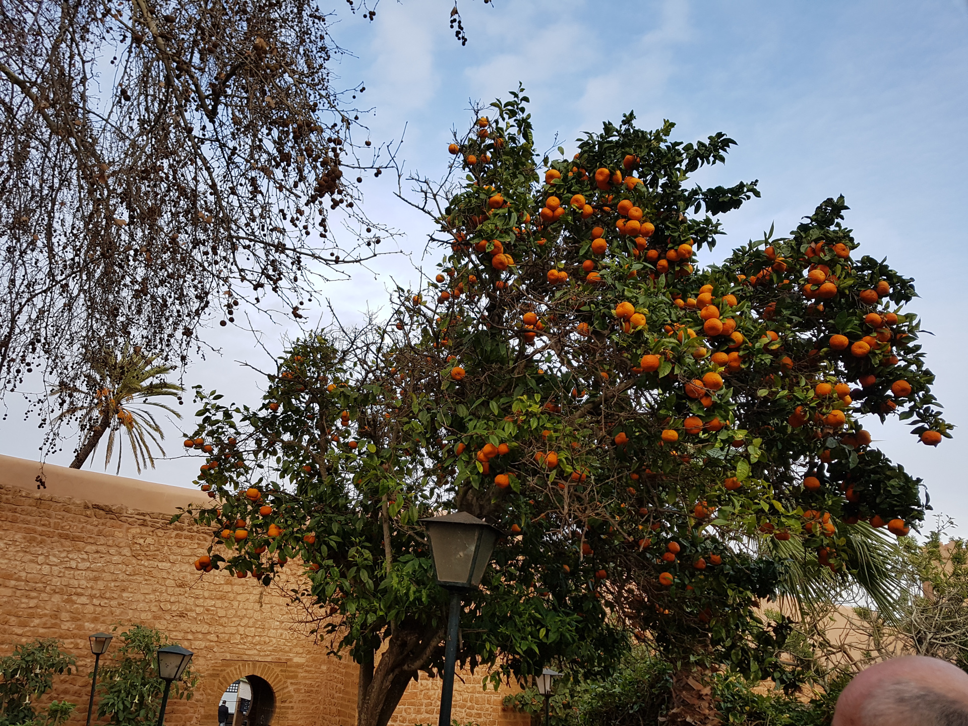 20180305-175222-Kasbah_des_Oudayas-Rabat-SR.jpg