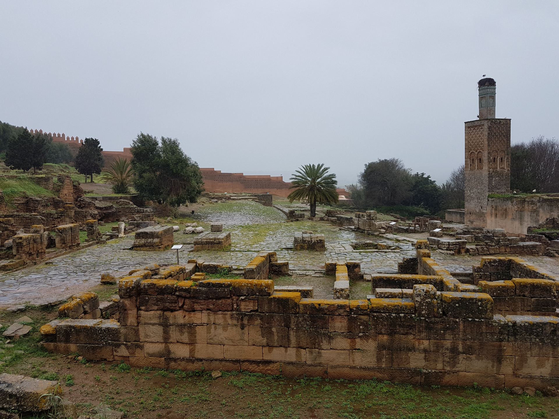 20180306-095302-Chellah_Fortress-Rabat-SJ.jpg