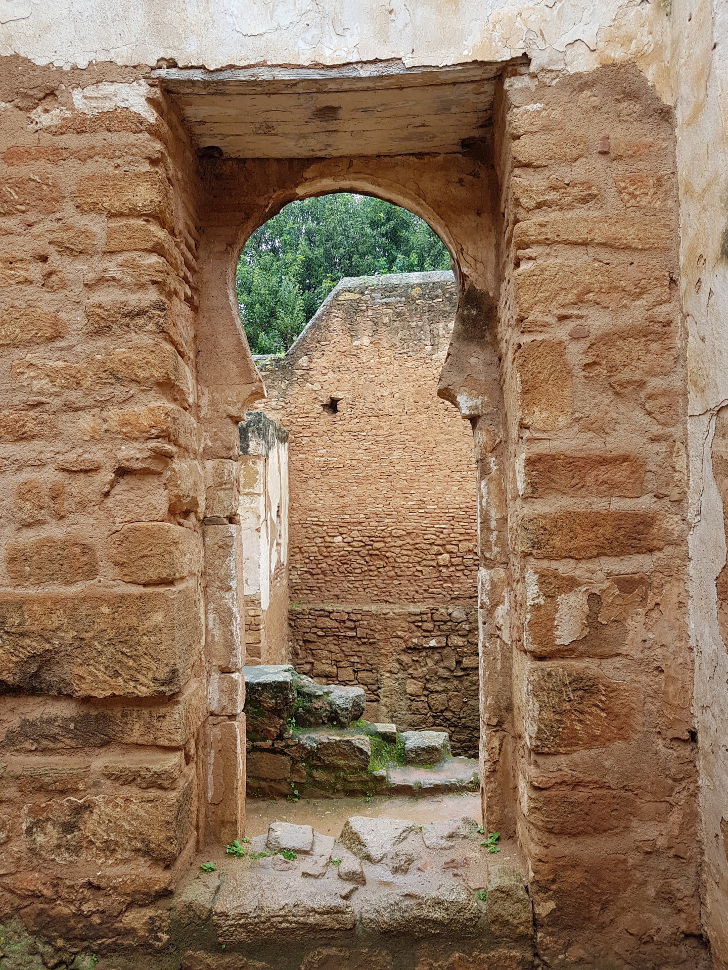 20180306-095743-Chellah_Fortress-Rabat-SJ-r.jpg