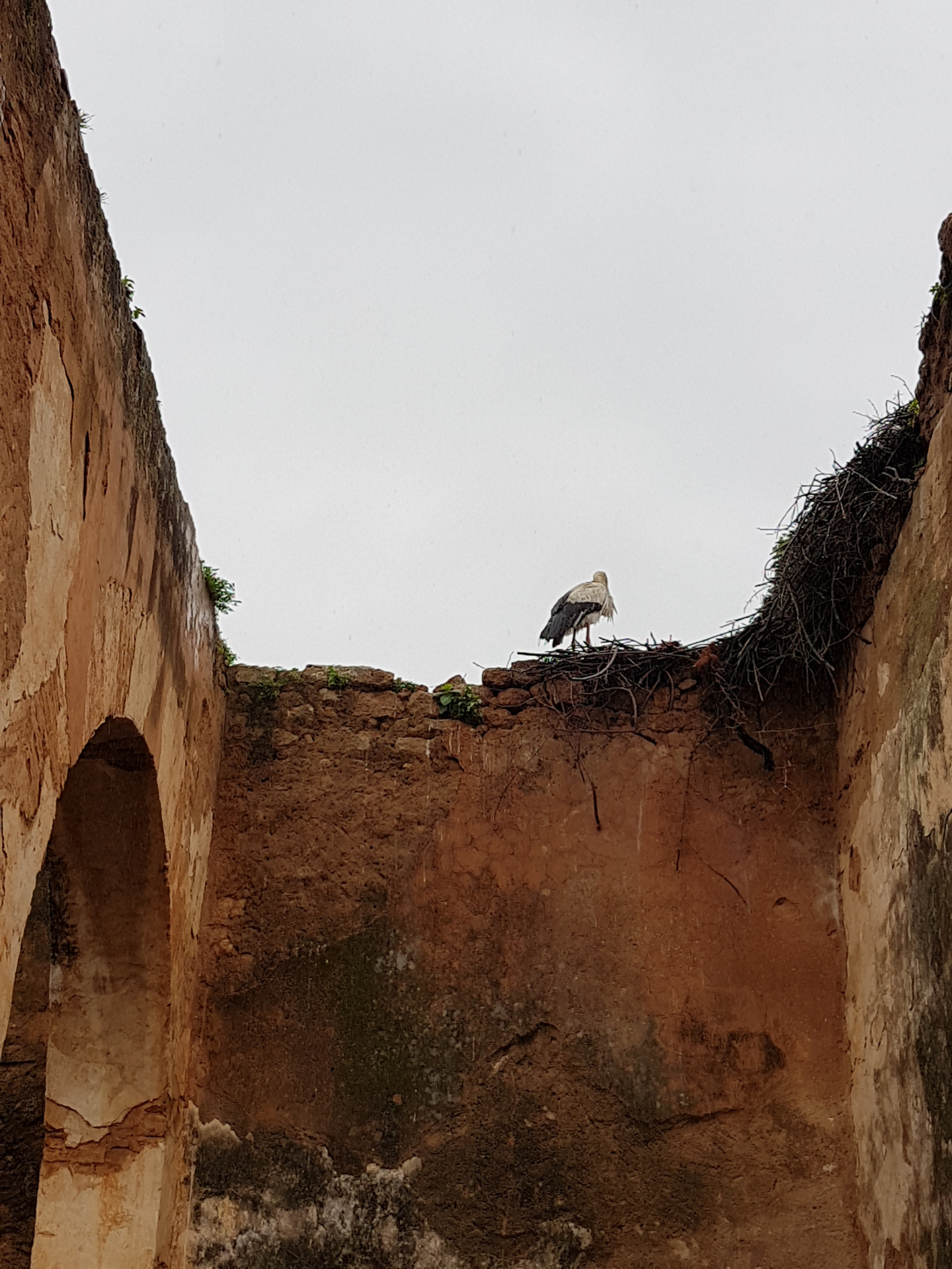 20180306-095908-Chellah_Fortress-Rabat-SJ-r.jpg