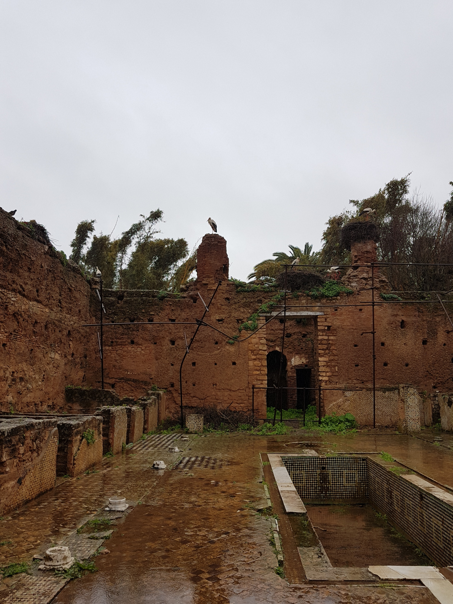 20180306-100444-Chellah_Fortress-Rabat-SJ-r.jpg
