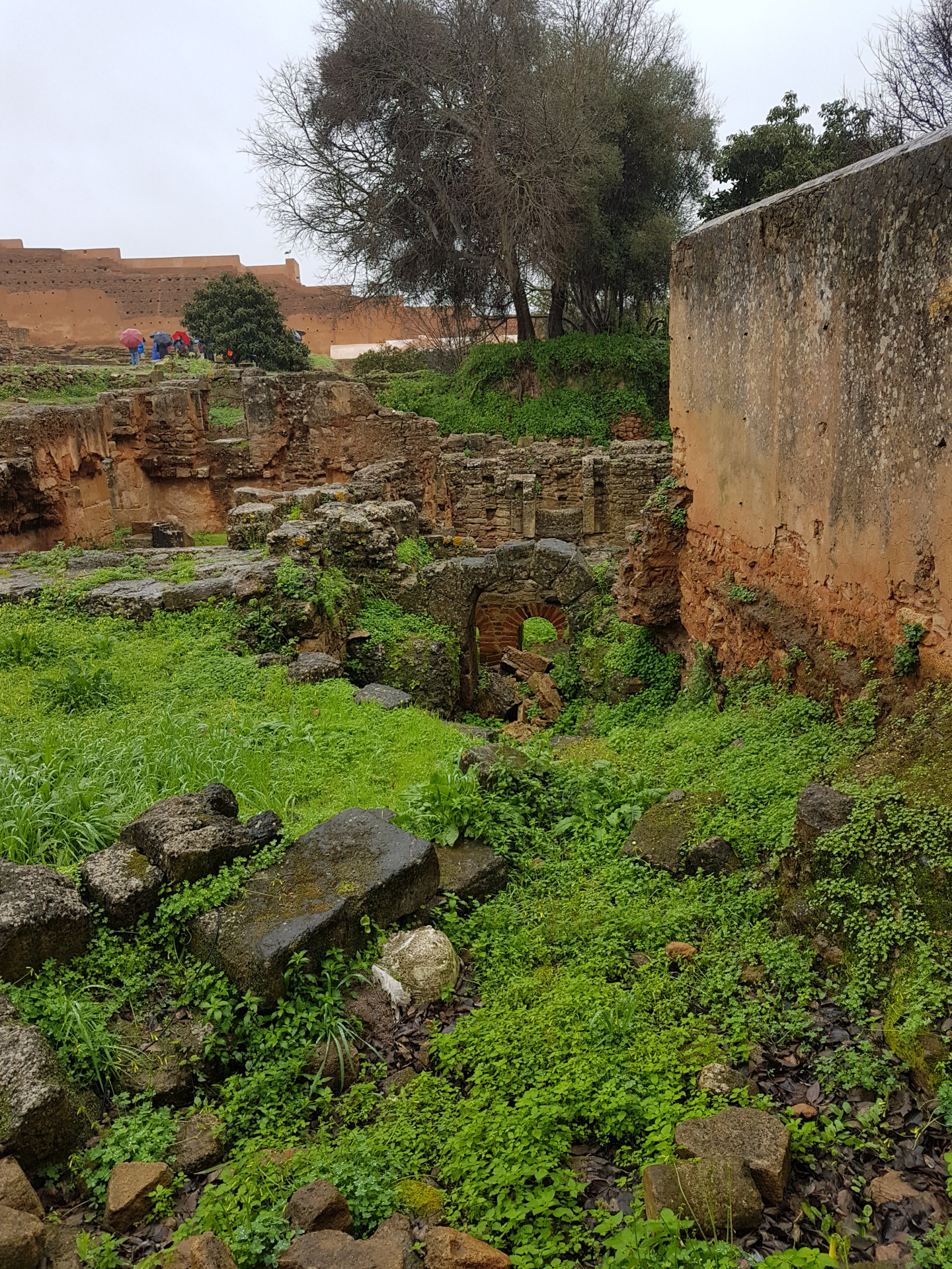 20180306-100613-Chellah_Fortress-Rabat-SJ-r.jpg