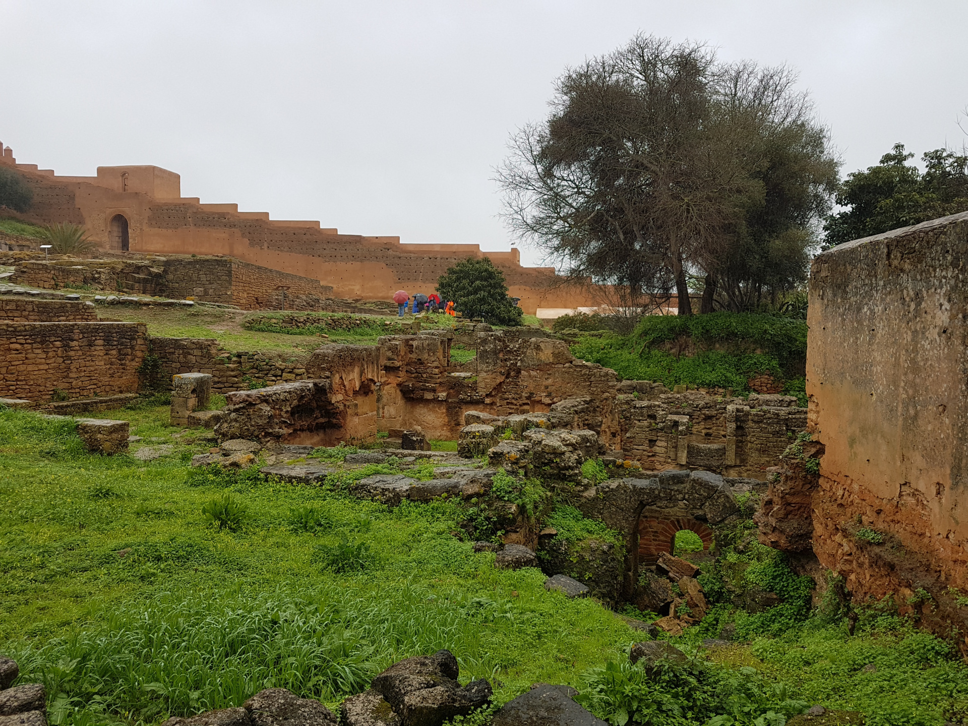 20180306-100616-Chellah_Fortress-Rabat-SJ.jpg