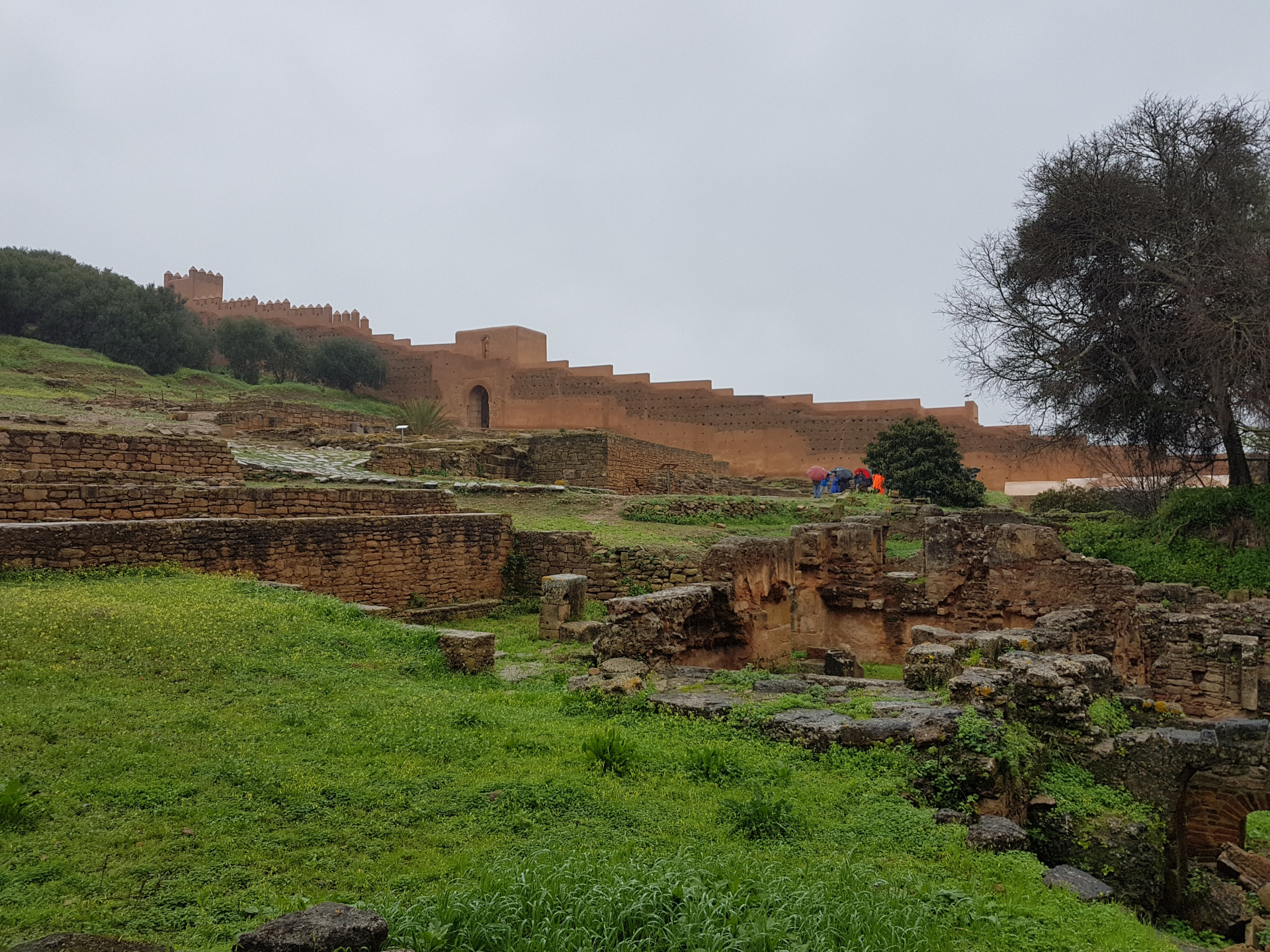 20180306-100619-Chellah_Fortress-Rabat-SJ.jpg