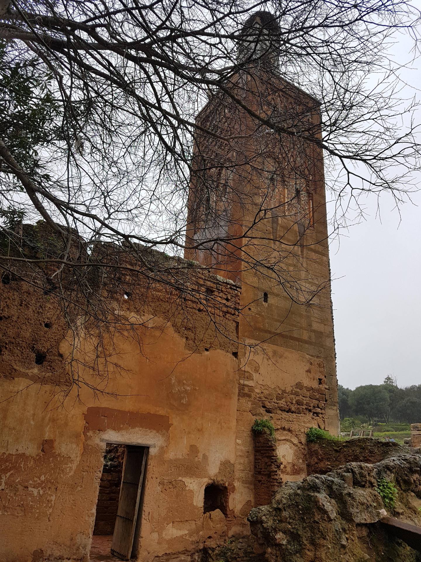 20180306-100627-Chellah_Fortress-Rabat-SJ-r.jpg