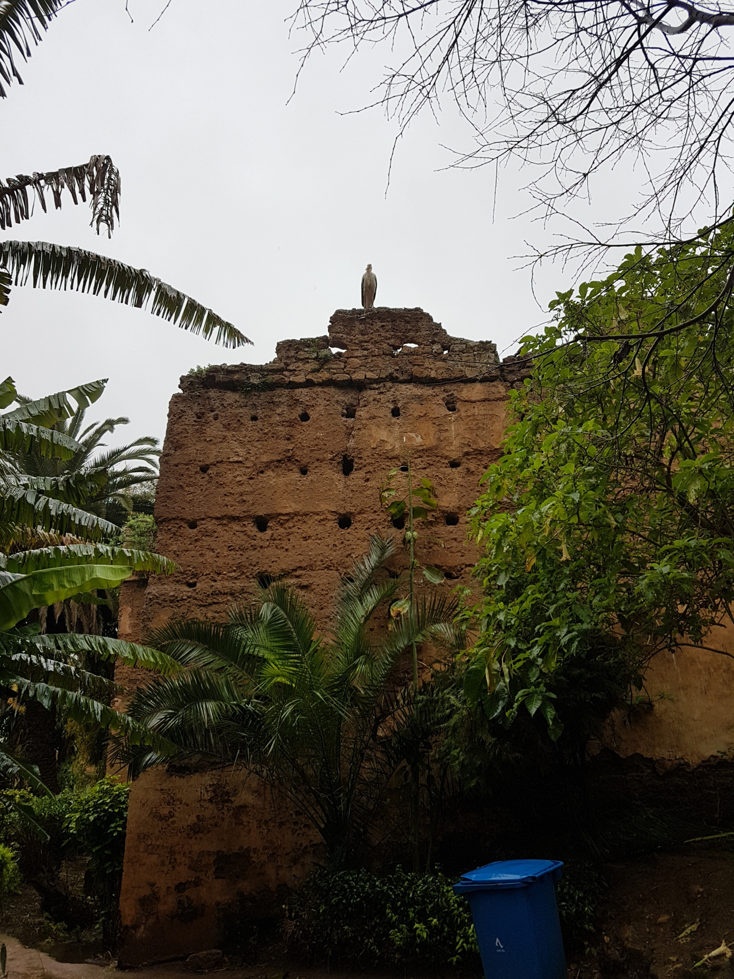 20180306-100813-Chellah_Fortress-Rabat-SJ-r.jpg