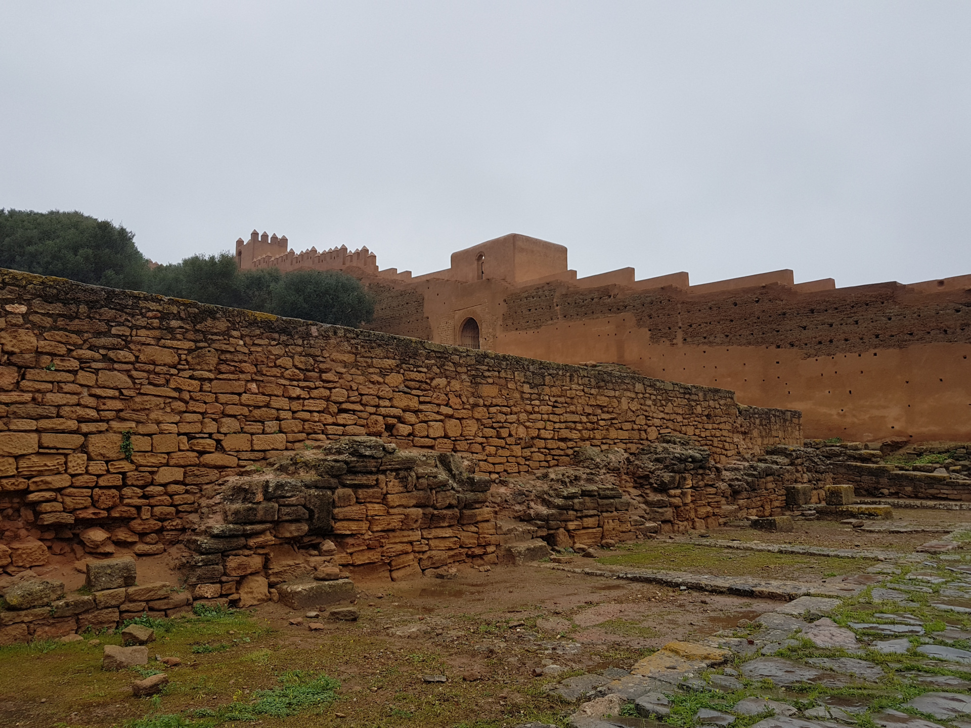 20180306-101146-Chellah_Fortress-Rabat-SJ.jpg
