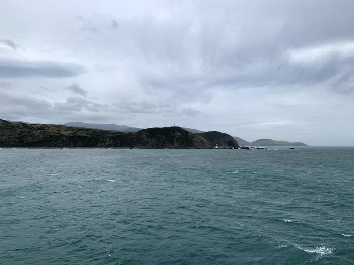 20191219-152900-Wellington-iG3481.jpg