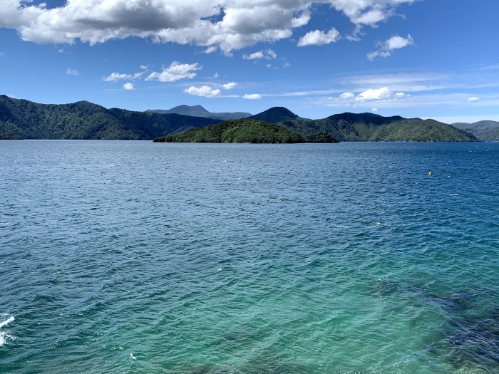 20191220-150000-Picton-iG3575.jpg
