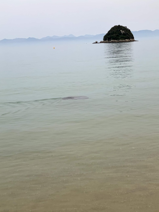 20201201-191800-Split-Apple-Rock-iG4123.jpg