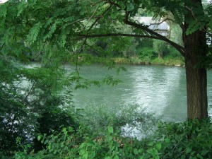 kranj-20050727-4849.jpg