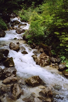 Mojstrana Triglav Bistrica River