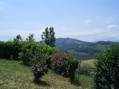 biscaya-20040615-11.jpg