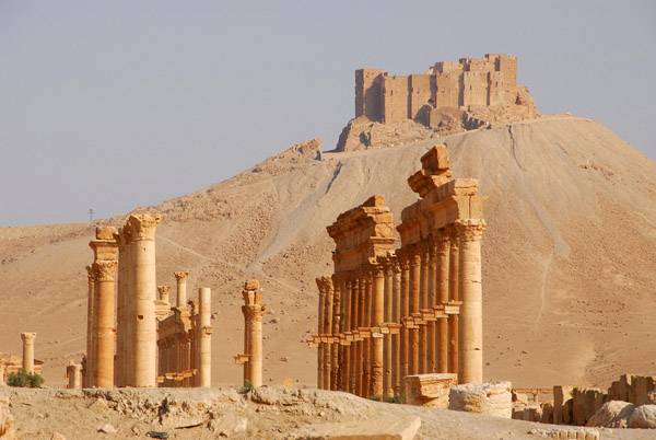 Palmyra1.jpg
