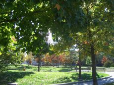 foliage-in-philadelphia-20041109-2008.jpg