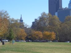 foliage-in-philadelphia-20041113-2196.jpg