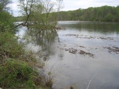 20060416-7859.jpg