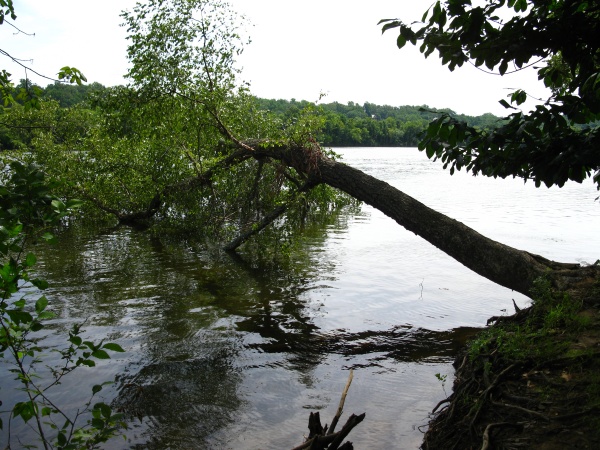 20120713-111516-Canon-3704.jpg