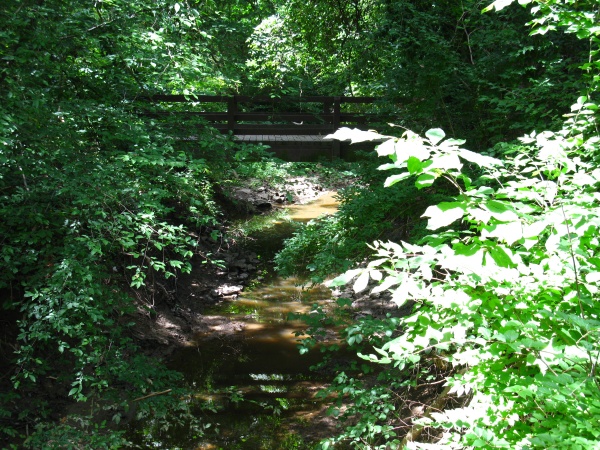 20120713-112044-Canon-3710.jpg