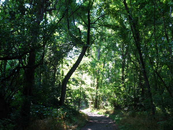 20120716-093522-Canon-3749.jpg