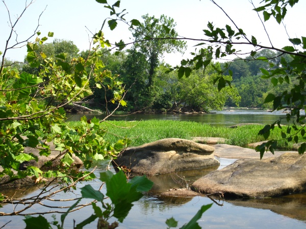 20120717-103910-Canon-3839.jpg