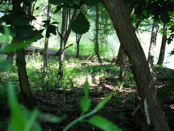 20120719-103710-Canon-3855.jpg