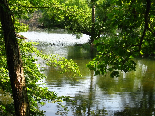 20120719-103908-Canon-3864.jpg