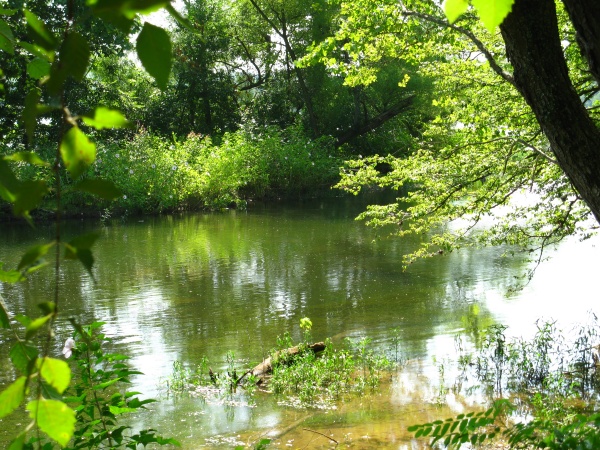 20120719-104204-Canon-3871.jpg
