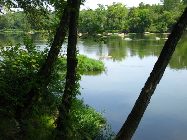 20120719-111746-Canon-3905.jpg