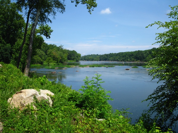 20120719-114348-Canon-3924.jpg